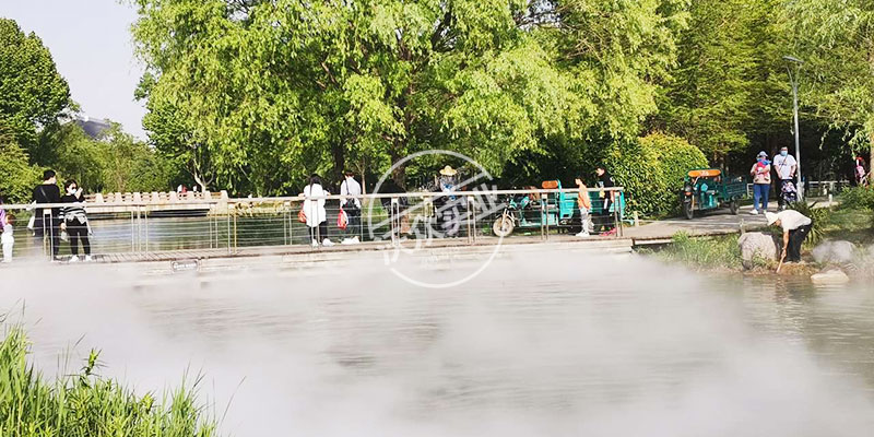 鄭州植物園象湖中心島霧森項目現場效果棒棒的